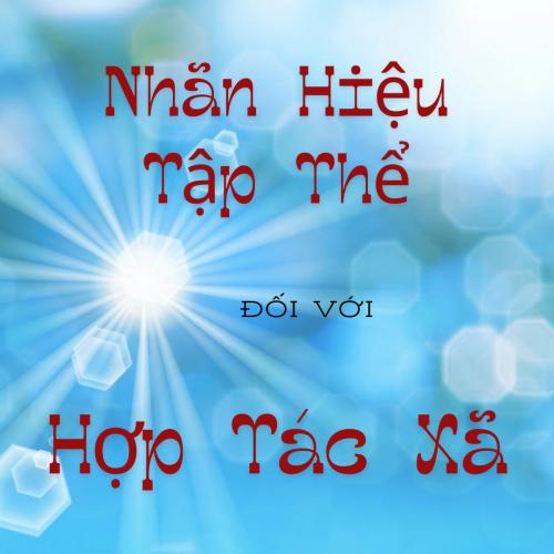 Nâng Cao Việc Phát Triển Nhãn Hiệu Tập Thể Đối Với Hợp Tác Xã